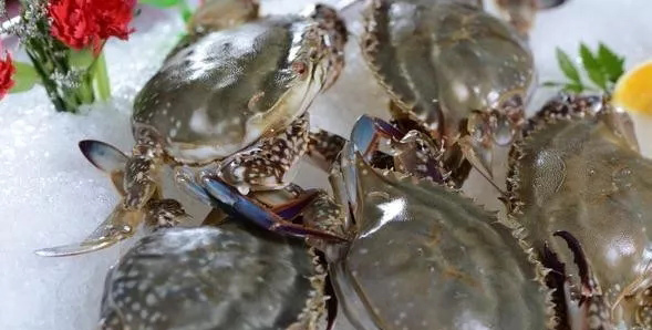 1519613373473003.jpg 640.webp.jpg